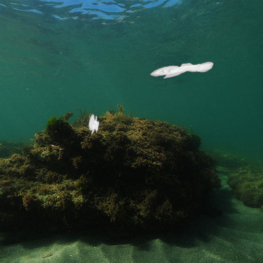 Relixa blog – Menštruačné nohavičky – ekologická starostlivosť o seba a planétu